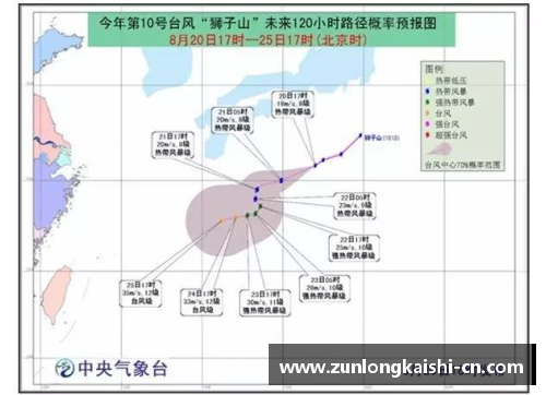感染体育明星现状分析与未来展望探讨新路径
